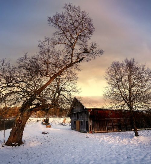 barn, house, trees-5925532.jpg