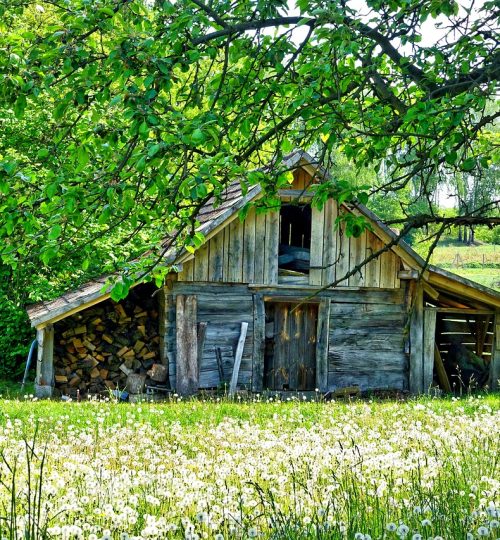 shed, countryside, farm-1587801.jpg