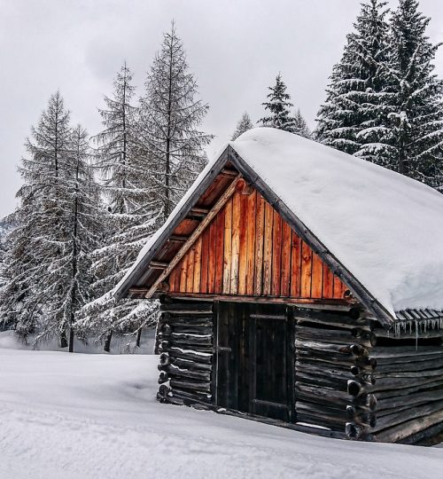 winter, snow, forest-3997359.jpg